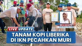 Cetak Rekor Nasional, KIPP IKN Taman 1.010 Pohon Kopi Liberika bersama 1.486 Warga di DAS Sepaku