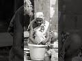 Kalli Kattil Porantha Thaye Then Merku Paruva Katru Whatsapp Status Tamil