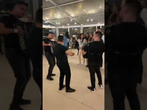 ORKESTAR RADOMIRA PANTICA!! 🪗🎹🎻🥁