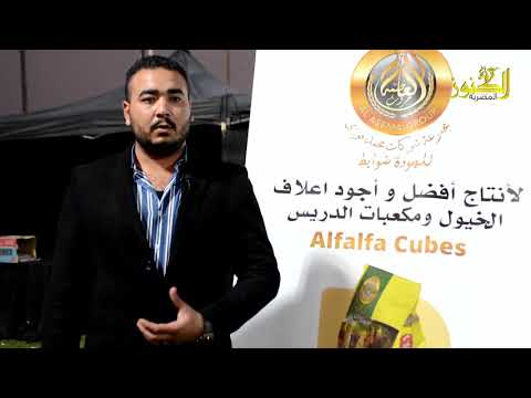 أحمد طلعت ممثل مزرعة القصر الملكى