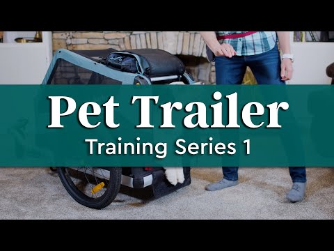 Pet Trailer Training Series - Let's Start Training! | Burley