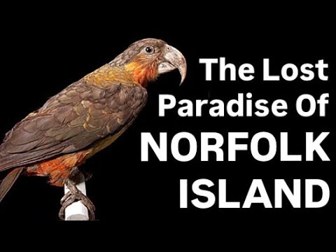 Australiens VERLORENE WELT Norfolkinsel