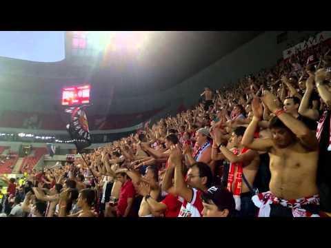 SLAVIA vs HAJDUK