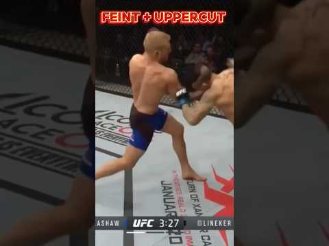 Feint Uppercut and k.o. #mma #ufc #uppercut #boxing #martailarts