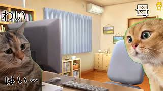 【猫ミーム】よくある１日【猫ミーム】