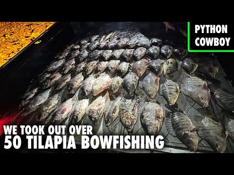 Bowfishing At Night For Giant Tilapia on Lake Okeechobee
