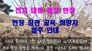 전지 대행 출장 1일차 - 현장 참관 안내 (현장에서 전지하는 것을 직접 보고 배우고자 하시는 분은 댓글 남…