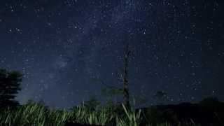 Analogy (SLV) - Starlit Skies (2013)