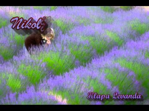 Klapa Levanda  - Nikolina