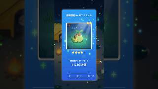 【ポケモンスリープ】　ナエトル　ふみふみ寝　【Pokémonsleep】