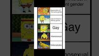 LGBTQ+ memes for y'all