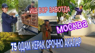 ИШ БОР ЗАВОТДА КИЗ БОЛАР УГИЛ БОЛАР КЕРАК ОВКАТИ БОР ЙАТАХАНАСИ БОР
