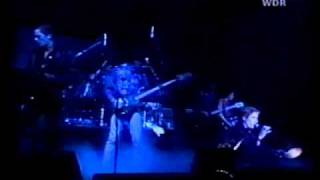 Psychedelic Furs - Into you like a train - Live Rockpalast berlin nov 1981