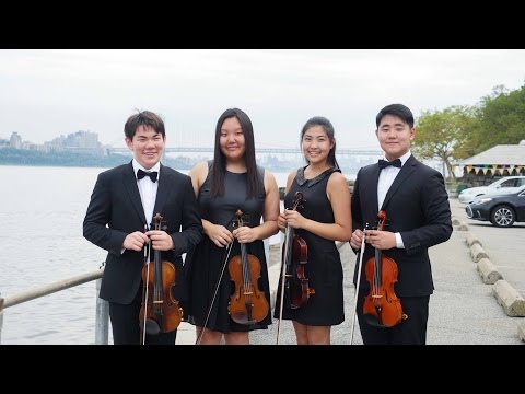 The 3rd NVYAC - Echo Strings