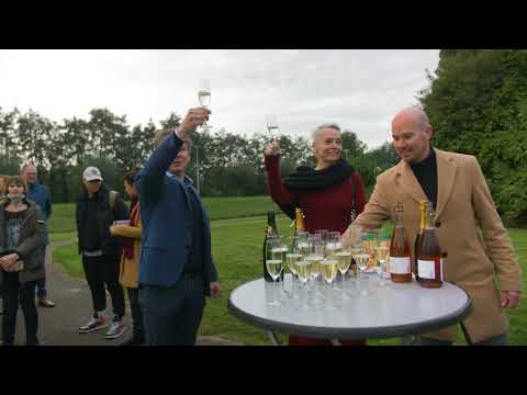 De Meeuw Nezzt levert units voor tijdelijke woningen in de wijk Ellamare in Rotterdam