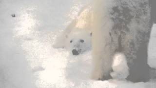 Polar Opposites: The First Meeting Between Hudson & Storm