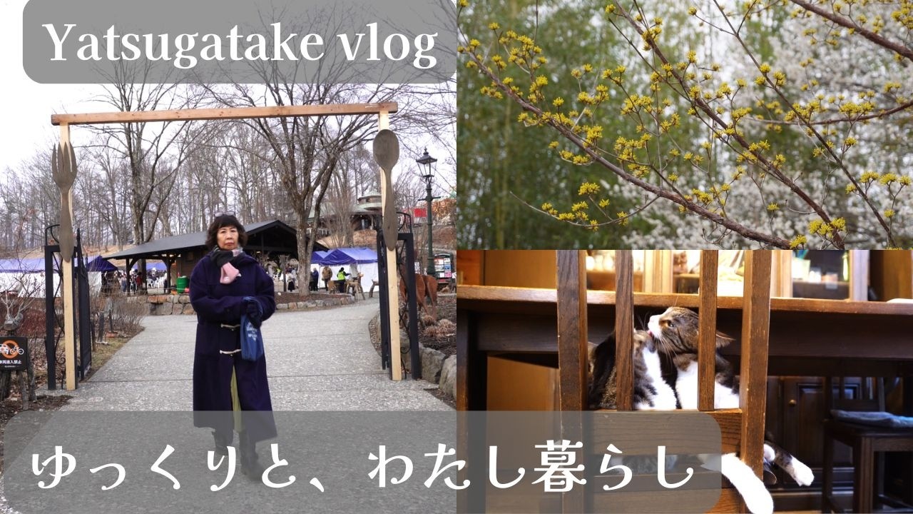 【🍃230話】八ヶ岳南麓🌳のレストランが一堂に会してシェフズバル開催🍝/今が旬の柑橘類🍊🍋を食べて癒し効果はバッチリ/春近しのロゼ🌹ストリート/スローリーな庭仕事/60代・ひとりと猫６匹の暮らし😸