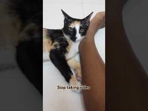 Anila is asking her privacy rights now ......😠 😡 👿. .....