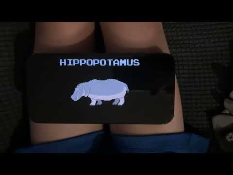 Animals book version collection 