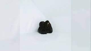 Chelsea Wolfe - Vex (Demo) - Bonus Track