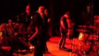 Bleach - Perfect Family Live