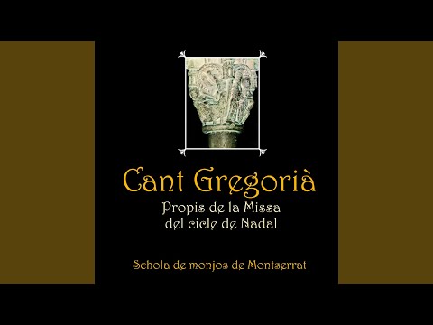 Dominica Prima Adventus. Alleluia. Ostende VIII Mode