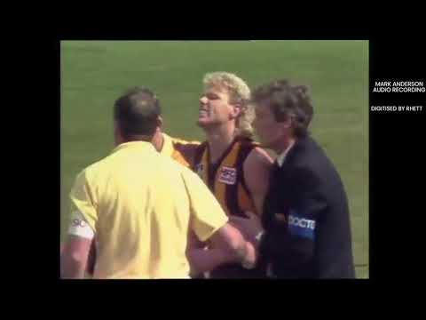 3LO broadcast of opening moments of 1989 Grand Final. AFL VFL