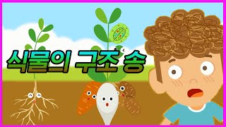 식물의 구조를 더 자세히 알아볼까 | 식물의 구조송 | 과학송