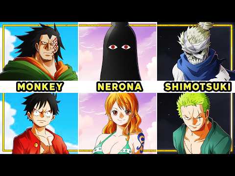 Does Every Straw Hat Have SPECIAL Lineage?