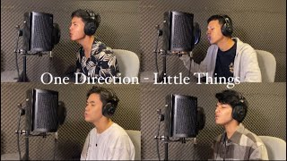 Download lagu One Direction Little Things... mp3