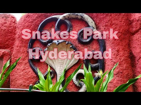 Dangerous snakes in hyderabad nehru zoo park PART-2 | snake park hyderabad | Mukesh Raja Adabala
