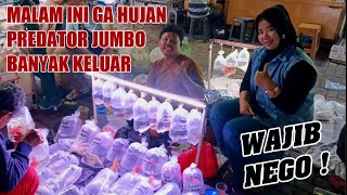 Download lagu 🔴 LATEST PRICE FOR CHEAPEST AROANA SR PREDATOR TENGMET AQUASCAPE FISH FRY DEVI JATINEGARA ORNAMEN... mp3 Download lagu 🔴 LATEST PRICE FOR CHEAPEST AROANA SR PREDATOR TENGMET AQUASCAPE FISH FRY DEVI JATINEGARA ORNAMEN... mp3