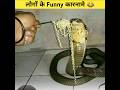 लोगों के कुछ Funny कारनामे Amazing Facts Funny Facts  Shorts Shor