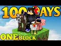 I Survived 100 Days On One Block Minecraft