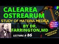 Calearea Ostrearum Lecture By Dr Farrington Homeopathic Materia Medica Homeopathy Treatment