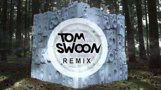 Drumsound &amp; Bassline Smith ft. Hadouken! - Daylight (Tom Swoon Remix)