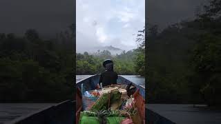 Download lagu Of The Jungle Borneo mp3