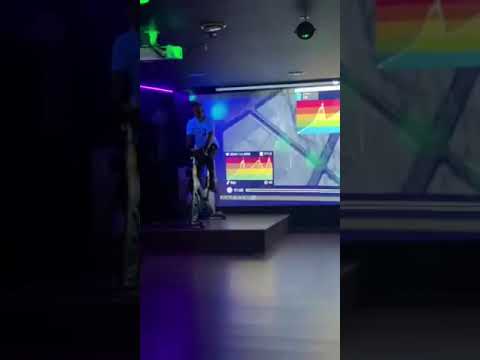Spin FamiltyFit