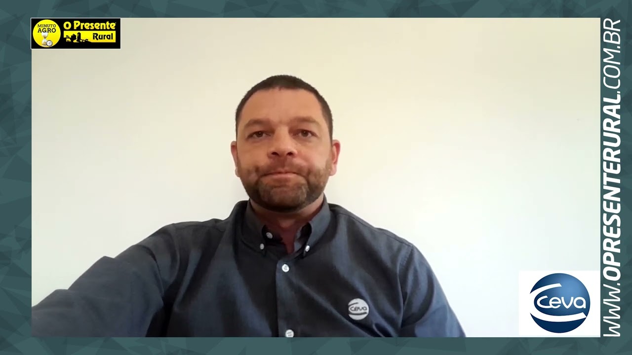 Biossegurança: Um Pilar Essencial para a Suinocultura Moderna - Minuto Agro Suínos