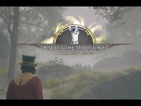 Hogwarts Legacy: Take the Biscuit... BUG FIXED!!
