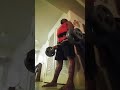 172 LB STRICT CURL (PR) #shorts#viral