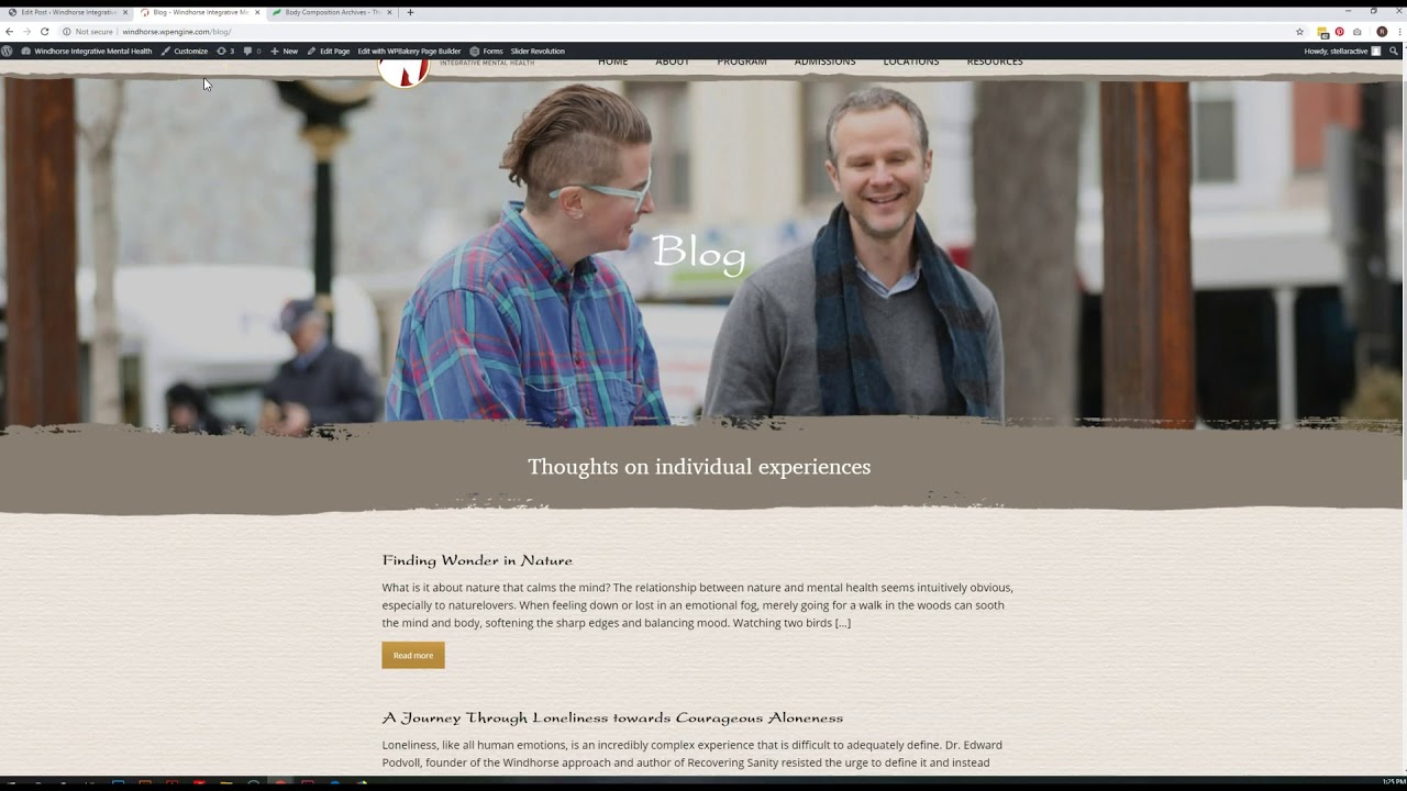 Windhorse - Blog Posts
