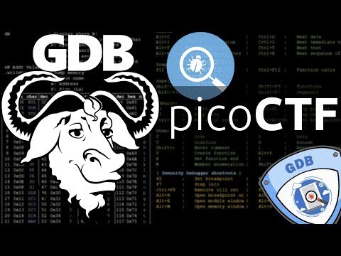 Examining Variables in GDB | learn gdb [33] picoCTF 2018