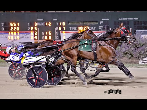 2025 Jim Ewart Memorial Scioto Downs OH : Ervin Hanover (1:47:2)