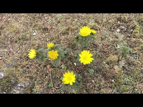 フェルミオンについて詳しく解説