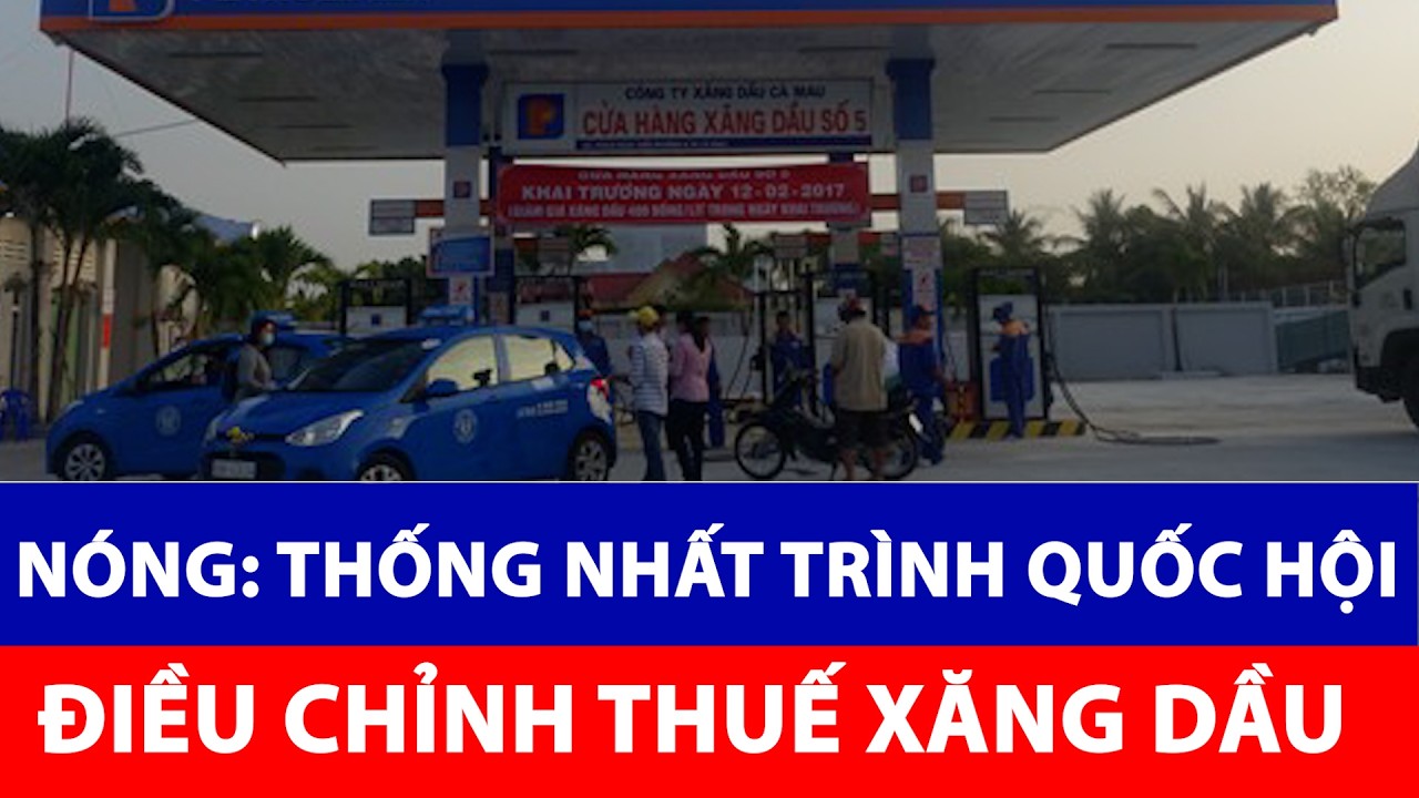 Thống nhất trình Quốc hội xem xét, quyết định các mức thuế đối với xăng, dầu