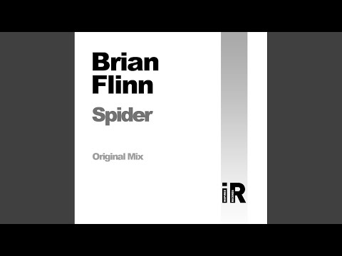 Spider (Original Mix)