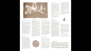 Christina Kubisch - Night Flights