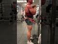 Goblet Squats