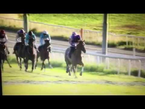 Baerum kommunes Hurdle. Ovrevoll (nor) 18/08/2016